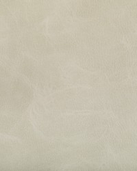 Toni 1 Tusk by  Kravet 