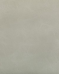 Toni 101 Limestone by  Kravet 