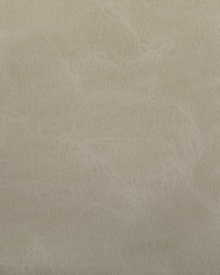 Toni 106 Dune by  Kravet 