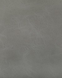 Toni 11 Spur by  Kravet 