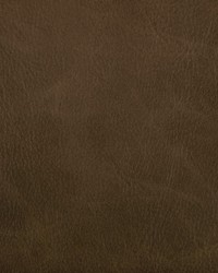 Toni 166 Etruscan by  Kravet 