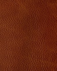 Toni 24 Mesa by  Kravet 