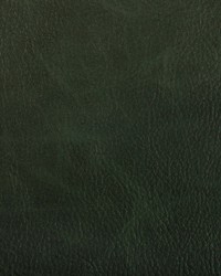 Toni 303 Woodland by  Kravet 