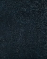 Toni 505 Ink by  Kravet 