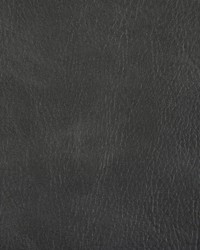 Toni 52 Slate by  Kravet 