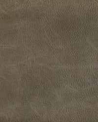 Toni 6 Field by  Kravet 