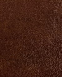 Toni 616 Cognac by  Kravet 