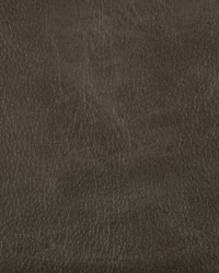 Toni 66 Rustler by  Kravet 