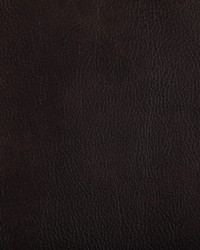 Toni 84 Mahogany by  Kravet 