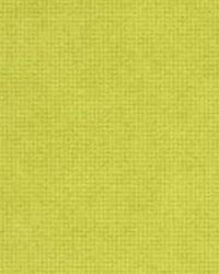 Ultrasuede 333 Lime by   