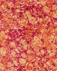 Velino 716 Fuchsia by  Novel 