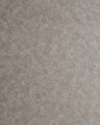 HEXAGON W0056/06 CAC PEWTER by  Clarke and Clarke Wallpaper 