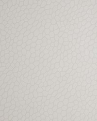 PLAYA W0058/04 CAC PARCHMENT by  Clarke and Clarke Wallpaper 