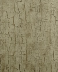 TREE BARK W0062/01 CAC ANTIQUE by   