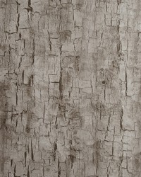 TREE BARK W0062/05 CAC PEWTER by   