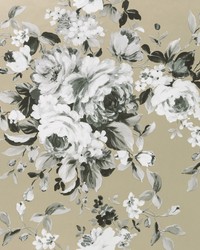 EMELINE W0081/03 CAC GILVER by  Clarke and Clarke Wallpaper 