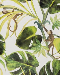 MONKEY BUSINESS W0083/04 CAC NATURAL by  Clarke and Clarke Wallpaper 