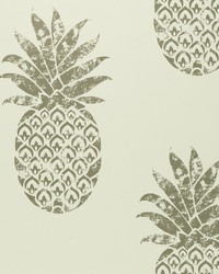 TOBAGO W0086/02 CAC GILVER by  Clarke and Clarke Wallpaper 