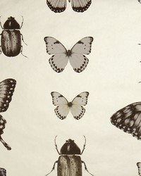PAPILIO W0094/01 CAC CHARCOAL/GOLD by  Clarke and Clarke Wallpaper 