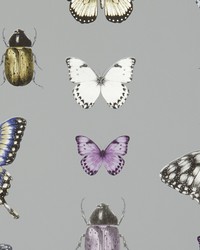 PAPILIO W0094/02 CAC HEATHER/GILVER by   