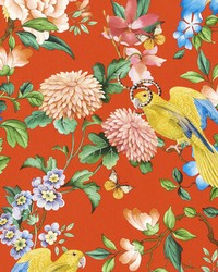 Golden Parrot Wp W0130/01 CAC Coral by   