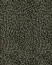 Corallino W0166/02 CAC Noir Wp by  Casner Fabrics 