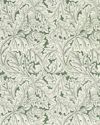 ACANTHUS W0175/01 CAC SAGE WP by   