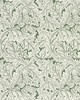 Clarke and Clarke Wallpaper ACANTHUS SAGE WP