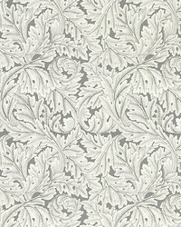 ACANTHUS W0175/02 CAC SLATE WP by   