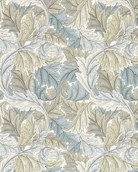 ACANTHUS W0175/03 CAC DOVE WP by   