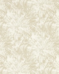 Dipinto W0177/01 CAC Ivory Wp by   