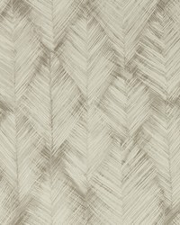 Folius W0206/04 CAC Putty Wp by   