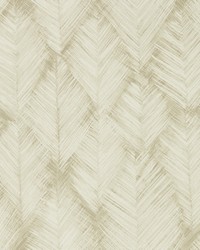 Folius W0206/05 CAC Sahara Wp by   