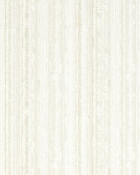 Striatus W0211/03 CAC Parchment Wp by   