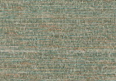 Kravet Wallcovering W3037 135 W3037.135 Beige GRASS - 100% Textured  Faux Wallpaper 