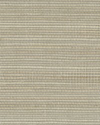 W3302 16 by  Kravet Wallcovering 