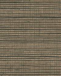 W3306 84 by  Kravet Wallcovering 