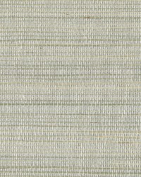 W3310 11 by  Kravet Wallcovering 