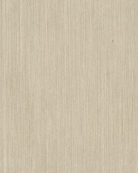 W3311 116 by  Kravet Wallcovering 