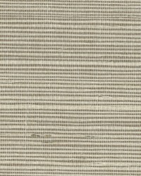 W3313 106 by  Kravet Wallcovering 