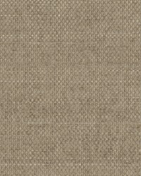 W3314 16 by  Kravet Wallcovering 