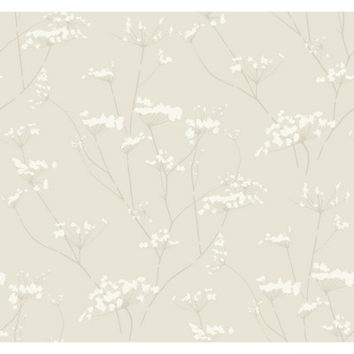 Kravet Wallcovering W3369 W3369.116 W3369.116 Beige PAPER - 100% Contemporary Flower Wallpaper Traditional Flower Wallpaper 