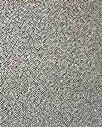 Meridien Gilded by  Kravet Wallcovering 