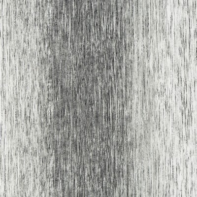 Kravet Wallcovering Zebrato Coal LINHERR HOLLINGSWORTH BOHEME W3402.811 Grey PAPER - 100% Contemporary 