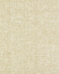 KRAVET DESIGN W3406 16 W3406-16 by  Kravet Wallcovering 