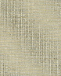 KRAVET DESIGN W3420 16 W3420-16 by  Kravet Wallcovering 