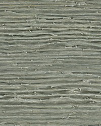 KRAVET DESIGN W3421 30 W3421-30 by  Kravet Wallcovering 