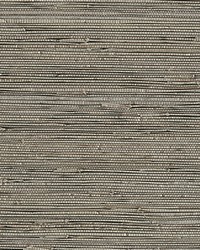 KRAVET DESIGN W3421 61 W3421-61 by  Kravet Wallcovering 