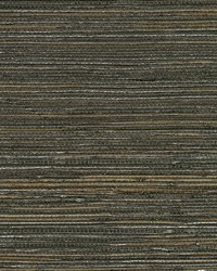 KRAVET DESIGN W3437 6 W3437-6 by  Kravet Wallcovering 