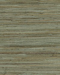 KRAVET DESIGN W3438 1611 W3438-1611 by  Kravet Wallcovering 